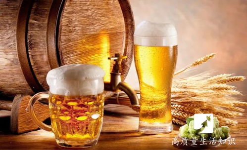 盤錦酒桌規(guī)矩解密 1杯白酒到底等于多少瓶啤酒？